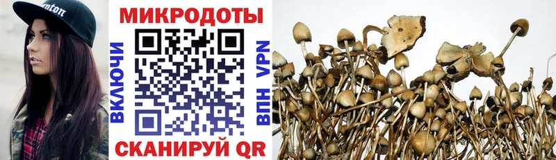 Галлюциногенные грибы Magic Shrooms  Карабаново 