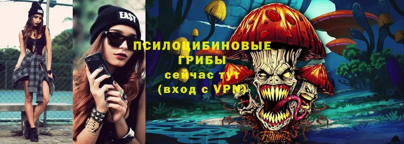 KRAKEN рабочий сайт  Карабаново  Галлюциногенные грибы Psilocybine cubensis 